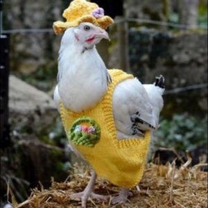 Meet your Posher, Mirella